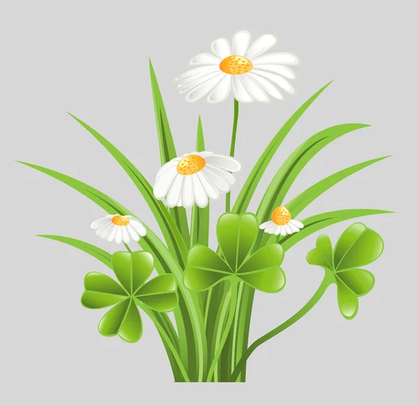 Grama verde com trevo e flores de camomila — Vetor de Stock