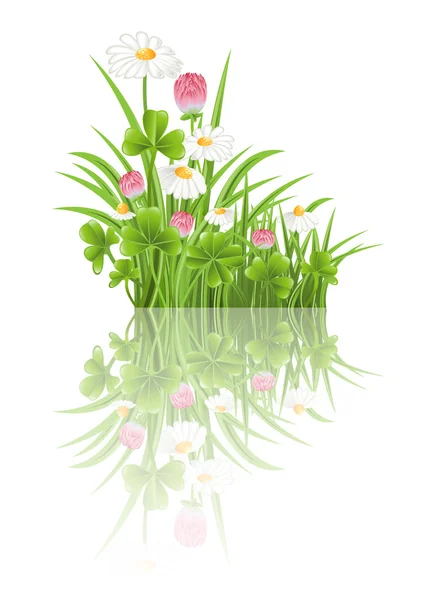 Erba verde con trifoglio e fiori di camomilla — Vettoriale Stock