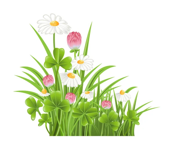 クローバーとカモミールの花と緑の芝生 — ストックベクタ