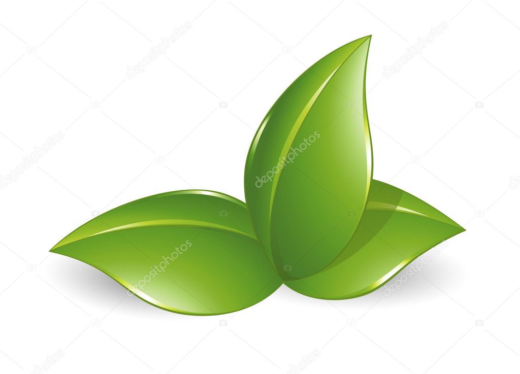 Nature design element, green leafs
