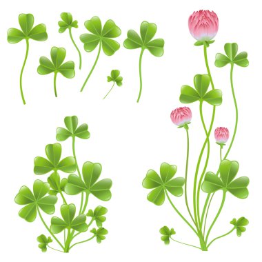 Set of clover leafs isolated on the white background. clipart