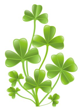 Clover leafs clipart