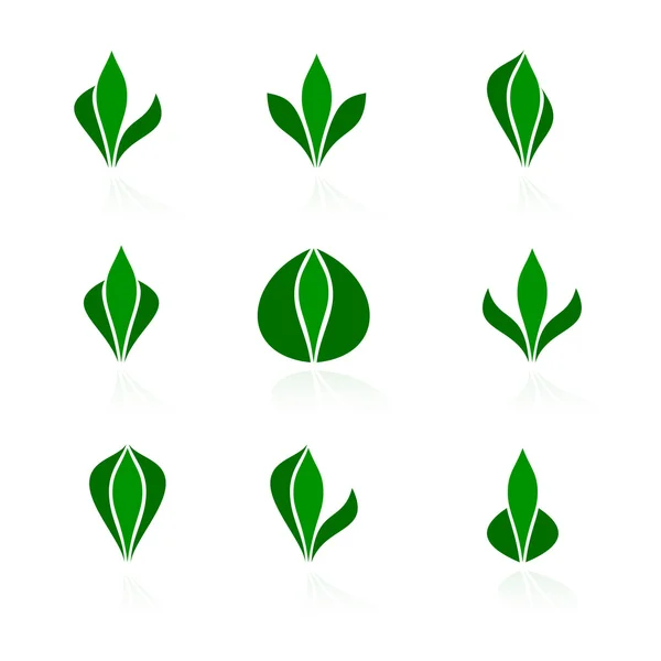 Conjunto de logotipos - planta. Vector-Ilustración — Archivo Imágenes Vectoriales
