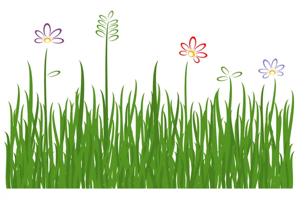 Grass on white background. Vector-Illustration — Stock Vector