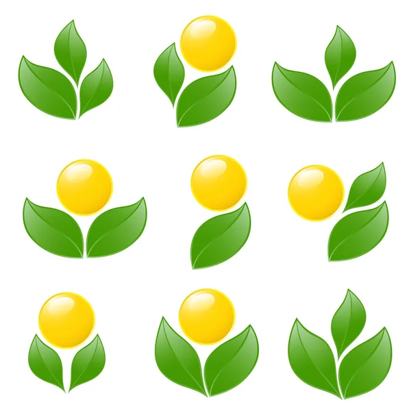 Készlet-logók - növény. Vektor-illusztráció — Stock Vector
