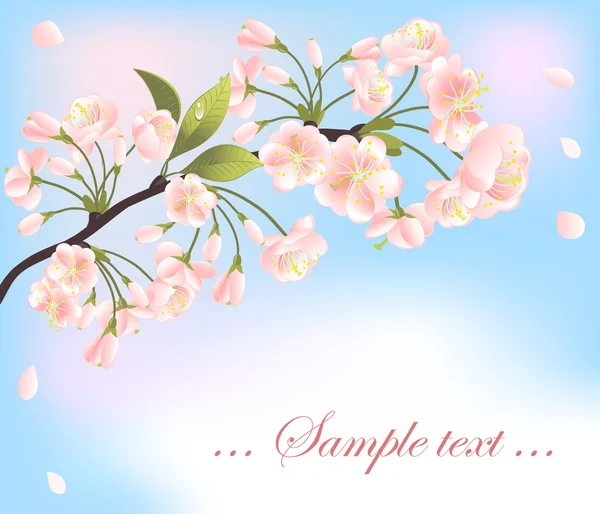 Fondo con árbol de sakura. Vector-Ilustración — Vector de stock