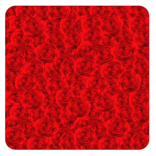 Red roses background. Vector-Illustration. — Stock Vector