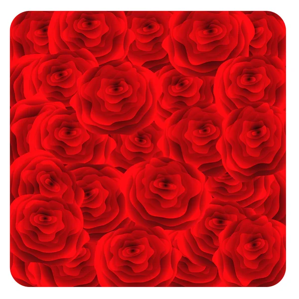 Red roses background. Vector-Illustration. — Stock Vector