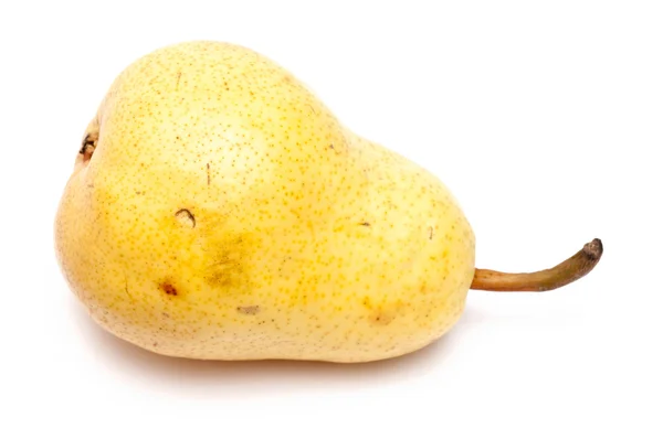 Una sola pera amarilla — Foto de Stock