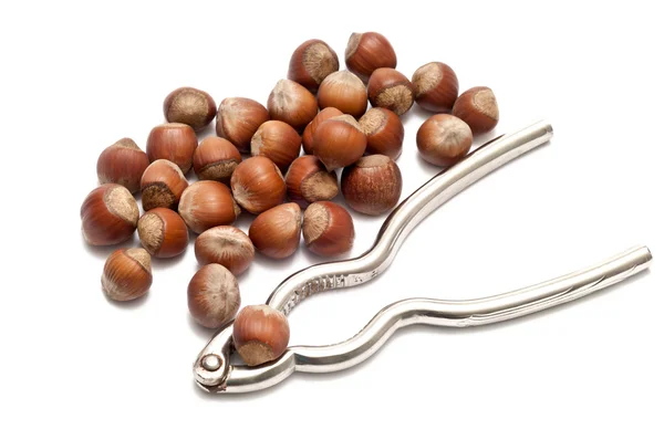 Hazelnuts with nutcracker — Stock Photo, Image