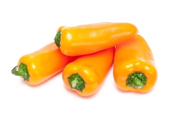 Oranje paprika — Stockfoto