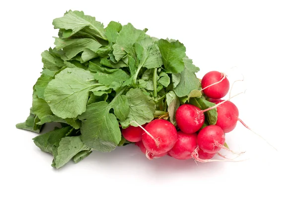 stock image Radishes