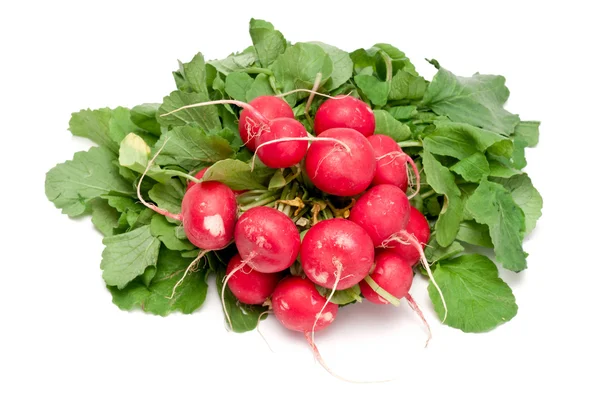 stock image Radishes