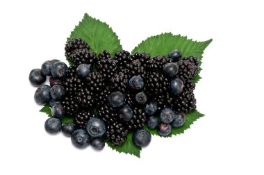 böğürtlen & yaban mersini