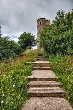 Kale Grimaud