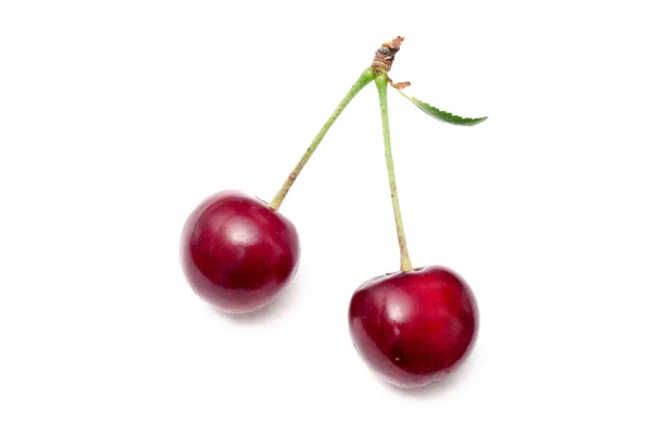Wiśnie — Zdjęcie stockowe