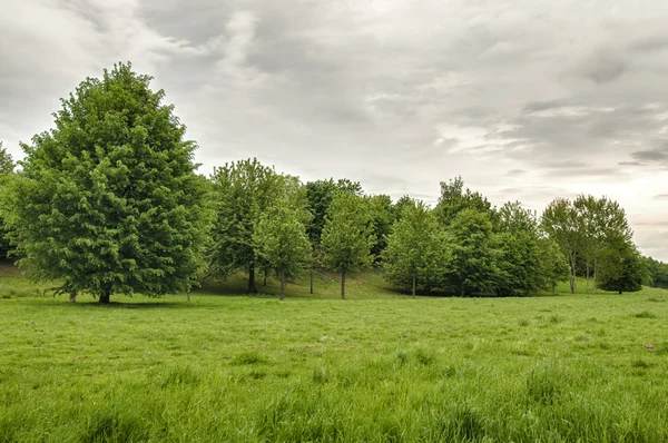 Stock image Green Park