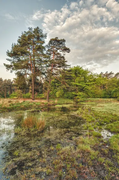 stock image Landscape