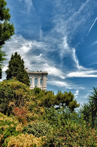 stock image Museum in monaco