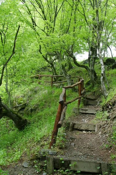 美丽的山道路在保加利亚 — 图库照片