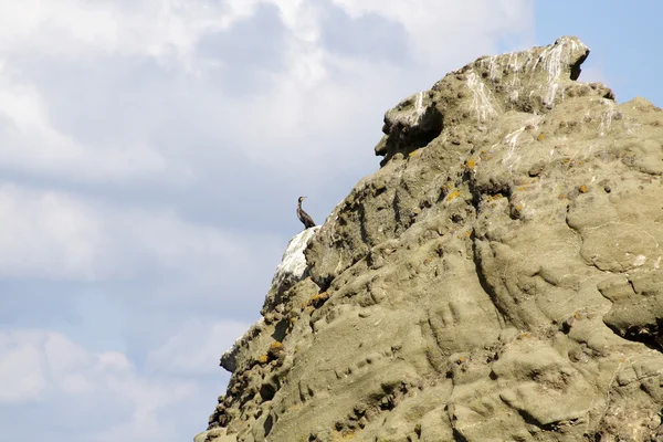 Гігантська скеля в океані — стокове фото