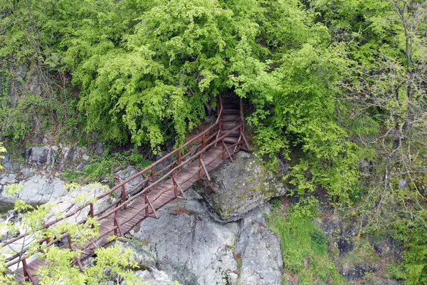 Красиві гірські мосту в Болгарії — стокове фото