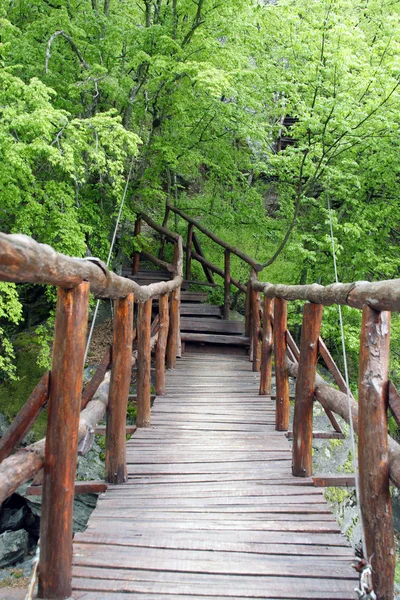 Bellissimo ponte di montagna in Bulgaria — Foto Stock