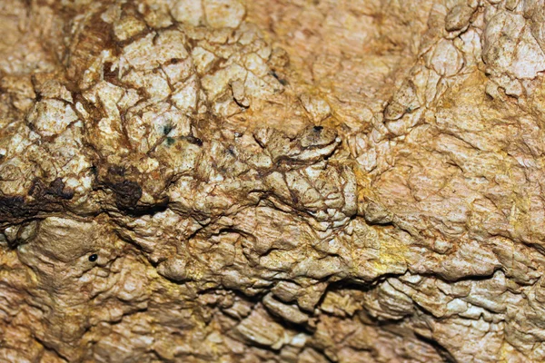 Rock close-up — Stock Photo, Image