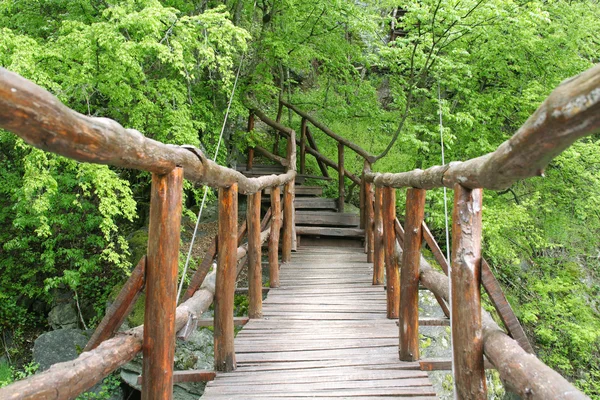 Härligt berg bridge i Bulgarien — Stockfoto