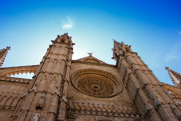 stock image Cathedral of Palma