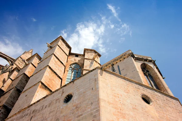 stock image Cathedral of Palma