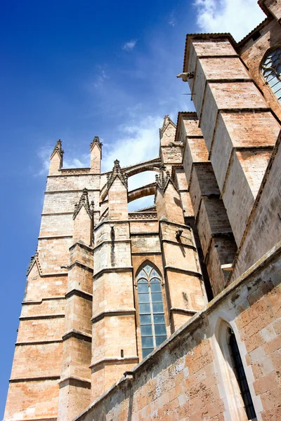 stock image Cathedral of Palma