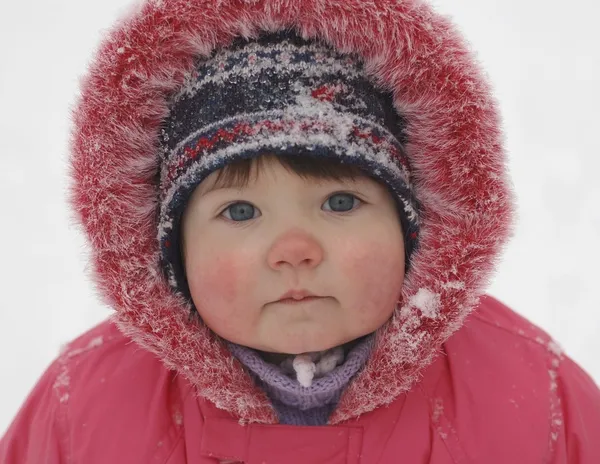 Babyporträt Stockbild