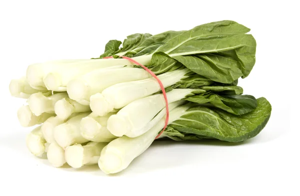 原料白菜 — 图库照片