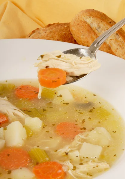 stock image Homemade Chicken Soup