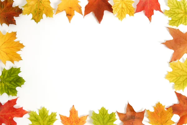 stock image Fall Leaves Frame