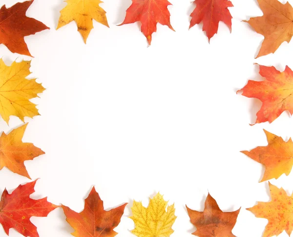 stock image Fall Leaves Frame