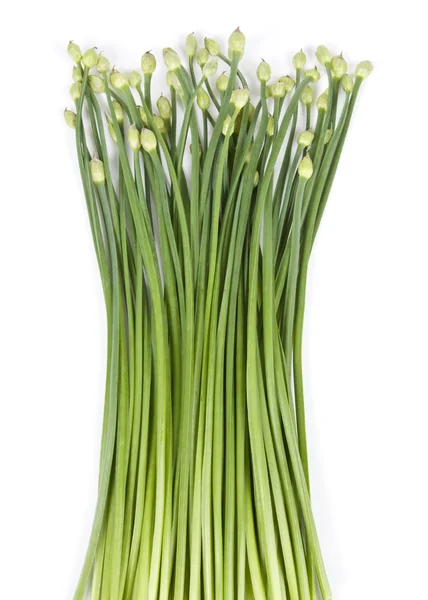 Fresh Garlic Chives — Stock Photo, Image