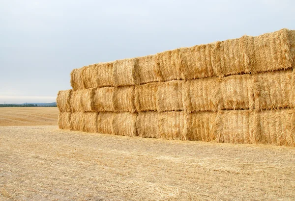 stock image A Stack of Hay in the Field