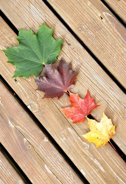 Herbstblätter auf dem Deck — Stockfoto