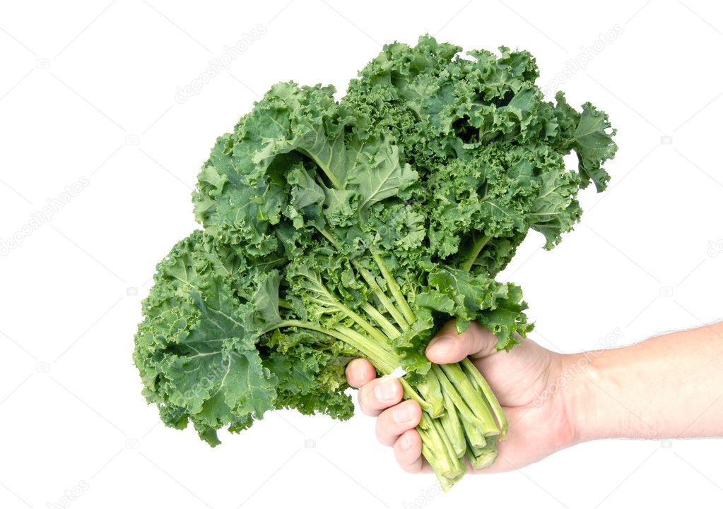 Mans hand holding a bunch of kale