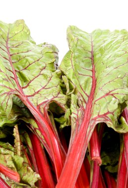 Fresh Red Swiss Chard clipart