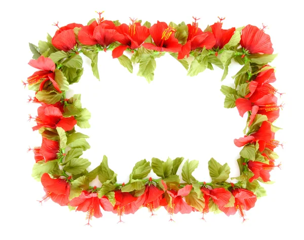 stock image Hibiscus frame