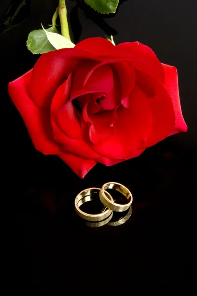 Rode rose en trouwringen — Stockfoto
