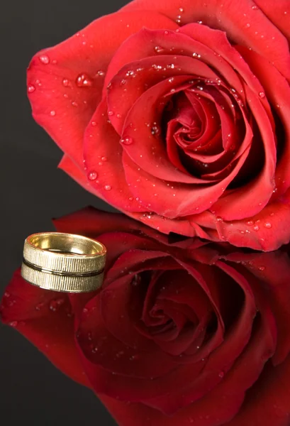Κόκκινο τριαντάφυλλο και γαμήλιο δαχτυλίδι — Φωτογραφία Αρχείου