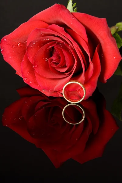 Κόκκινο τριαντάφυλλο και γαμήλιο δαχτυλίδι — Φωτογραφία Αρχείου
