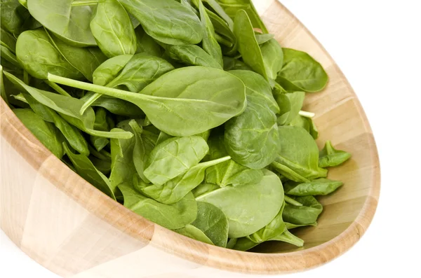 Baby Spinach — Stock Photo, Image