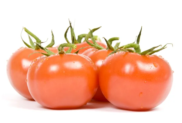Vine Ripen Tomatoes Isolated on White — Stock Photo, Image