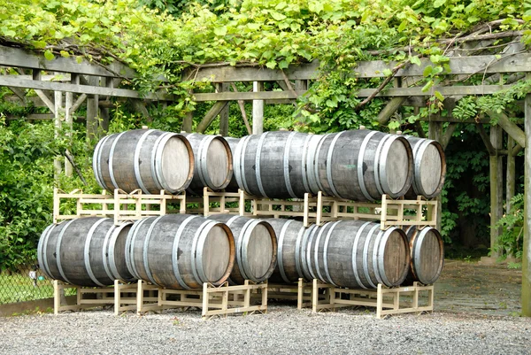 ワイン樽 — ストック写真