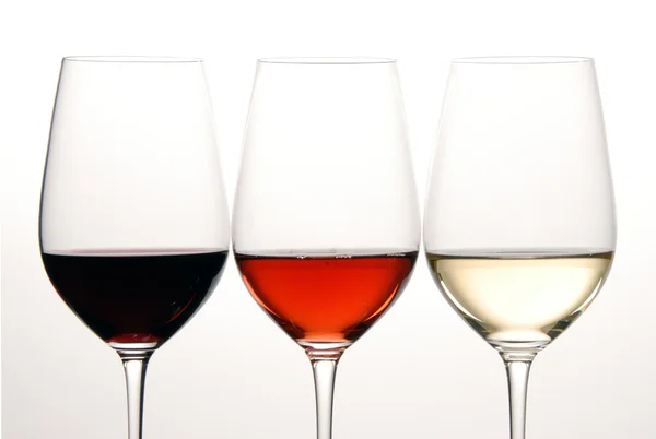 Degustación de vinos — Foto de Stock